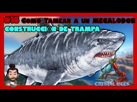 Como tamear a un MEGALODON y TRAMPA en agua poca profunda