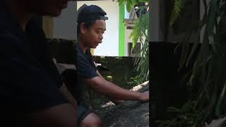 Download lagu opo kiihhh mosok t@1 #penyok mp3