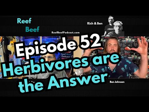 Herbivores are the Answer - Episode 52 - Reef Beef Podcast