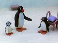 Pingu S03e19 Pingu And The Letter