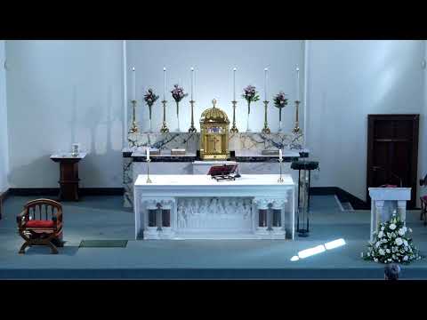 Holy Mass (11am Live) - Sunday 31st July 2022