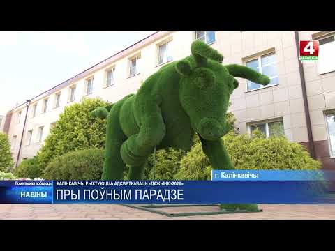 Калинковичи готовятся отпраздновать областные «Дажынкi»
