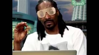 SNOOP DOGG CLOWNING THE AMIGOS