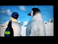 Happy Feet On Disney XD USA 08 14 2022