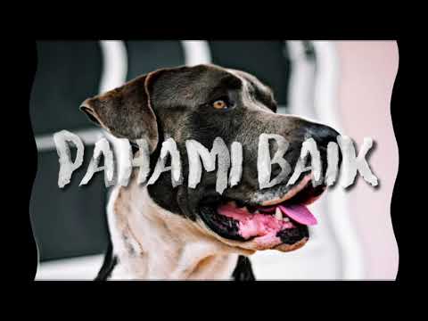 PAHAMI BAIK - Yellow Gank x Blorep Souljha