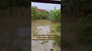 Download lagu pemandangan saat banjir-jika hujan di Makassar, beginilah#Shorts#videoyoutube mp3
