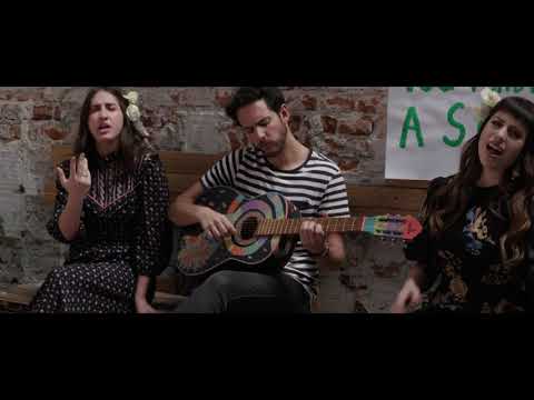 Ayala, La Isla Centeno - Rose Among Tulips