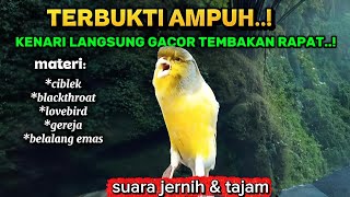 Download lagu TERBUKTI AMPUH!! Masteran kenari gacor tembakan rapat kompilasi isian super mewah mp3 Download lagu TERBUKTI AMPUH!! Masteran kenari gacor tembakan rapat kompilasi isian super mewah mp3