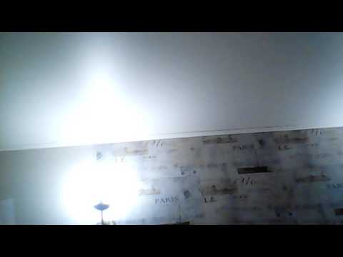 МС Белый-Студент