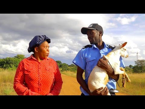 CHIKOMBI CHEMA SASCUM 😳 (EPISODE 5)