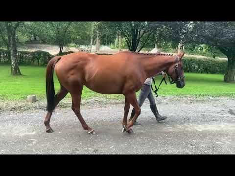 Video 2
