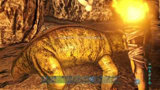 ARKサバイバル実況プレイ！オンライン鯖でハンター生活＃2,[ARK],PS4,アーク,ゲーム実況,トーク