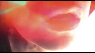 Deeper Than The Well (official)--Carla Bozulich w/jhno Eichenseer / Andrea Belfi