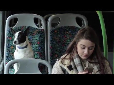 Nottingham City Transport: Pound for a Hound Scheme