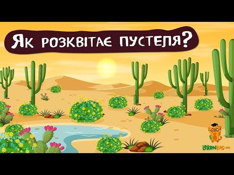 Дива природи. Явища навколо нас. Квітування пустелі Атаками