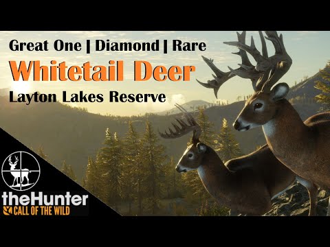 How to Setup a Whitetail Great One Grind on Layton Lakes 👑 Great One Grind EP01👑 theHunter COTW