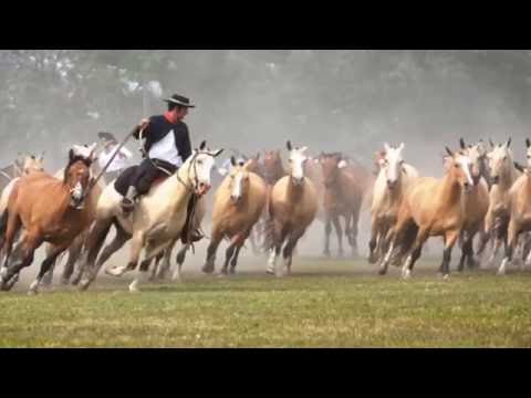 Gritos de Liberdade - Grupo Rodeio