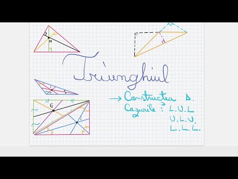 Triangle: Construction Cases - Grade 6
