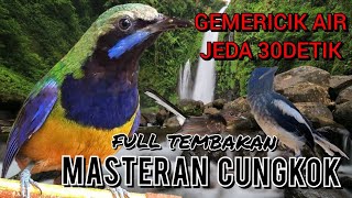 Download lagu CUCAK CUNGKOK || MASTERAN SULTAN FULL TEMBAKAN - Dengan Gemericik Air mp3 Download lagu CUCAK CUNGKOK || MASTERAN SULTAN FULL TEMBAKAN - Dengan Gemericik Air mp3