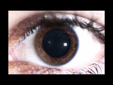 Basilisko - Midriasis Ft Metrakillah (Beat&prod Metrakillah)