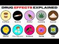 Every Drug It S Effect Explained In 17 Minutes