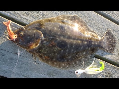 Fishing Piers for Flounder on YouTube