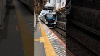 JR東日本E257系　踊り子号@大磯駅　#jreast #train #odoriko #railway