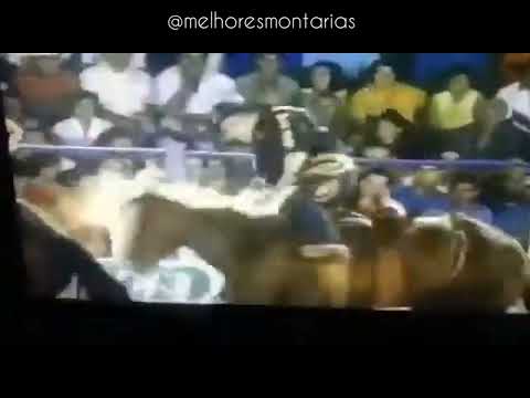 VILSON MARTINS DE ARAÚJO X MALÍCIA