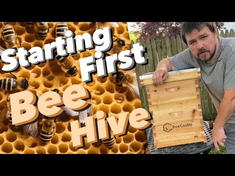 Finally starting my own bee Hive!