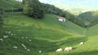 preview picture of video 'France- Spain border to Navvare'