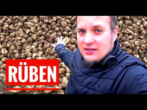 "Funde vom Rübenacker" - Sondeltour 117 - Sondeln