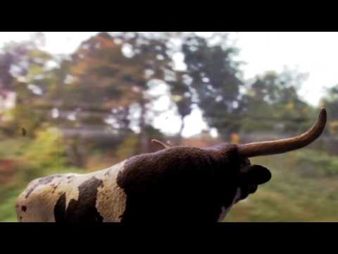 COPY007 - Peter Groskreutz - G Fluff (Video Cut)