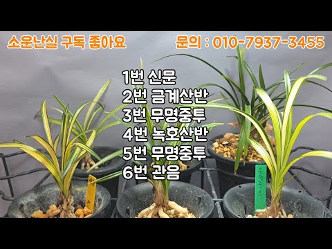 유튜브 썸네일