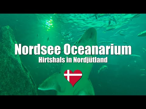 Nordsøen Oceanarium - Hirtshals