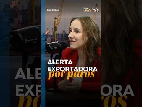 PARO EN EL PUERTO: "LLEVAMOS 41 DÍAS CON INTERRUPCIONES"