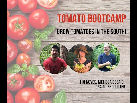 , title : 'Grow Tomatoes in the Southeast: Tomato Bootcamp Part I'