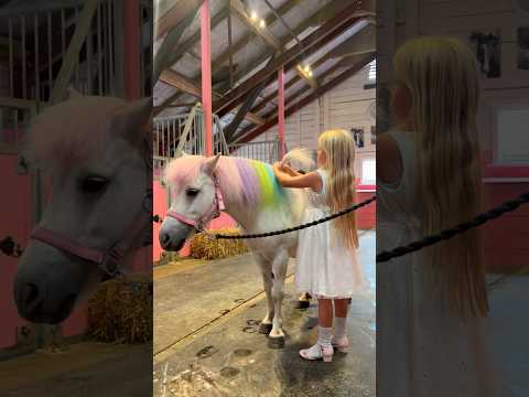 Ella braid Soria’s hair😍 #pony #horse #equestrian