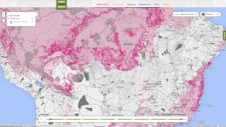 GFW Tutorial | Map