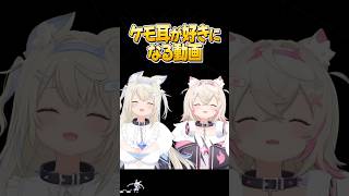 「ケモ耳」が好きになる動画【ホロライブ切り抜き/ホロライブ/フワモコ/大神ミオ/猫又おかゆ/戌神ころね/白上フブキ/博衣こより 】#shorts