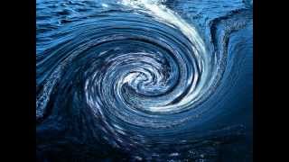 It Came To Me In A Dream by Sunflower Seeds