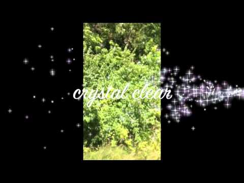 Journey Of An Enchanted Soul 720p