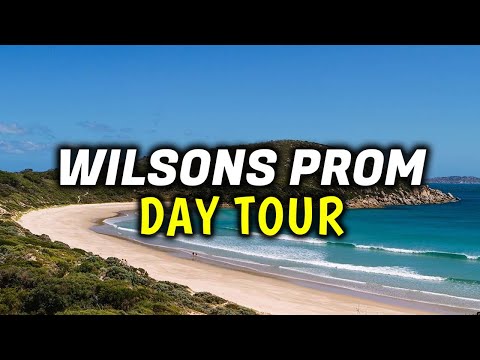 Exploring Wilsons Promontory: Our Review of Go West Tours' Day Tour from Melbourne, Australia
