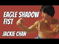 Wu Tang Collection Eagle Shadow Fist