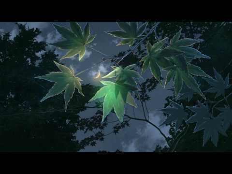 Dried Leaves - Embers (ft. Pathxs)