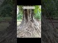 เมืองเก่าศรีเทพ เพชรบูรณ์ | Nitchaon sriluntha ที่พัก การเดินทาง เมืองเก่าศรีเทพ เพชรบูรณ์ | Nitchaon sriluntha ที่พัก การเดินทาง