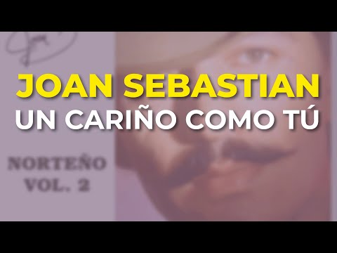 Joan Sebastian - Un Cariño Como Tú (Audio Oficial)