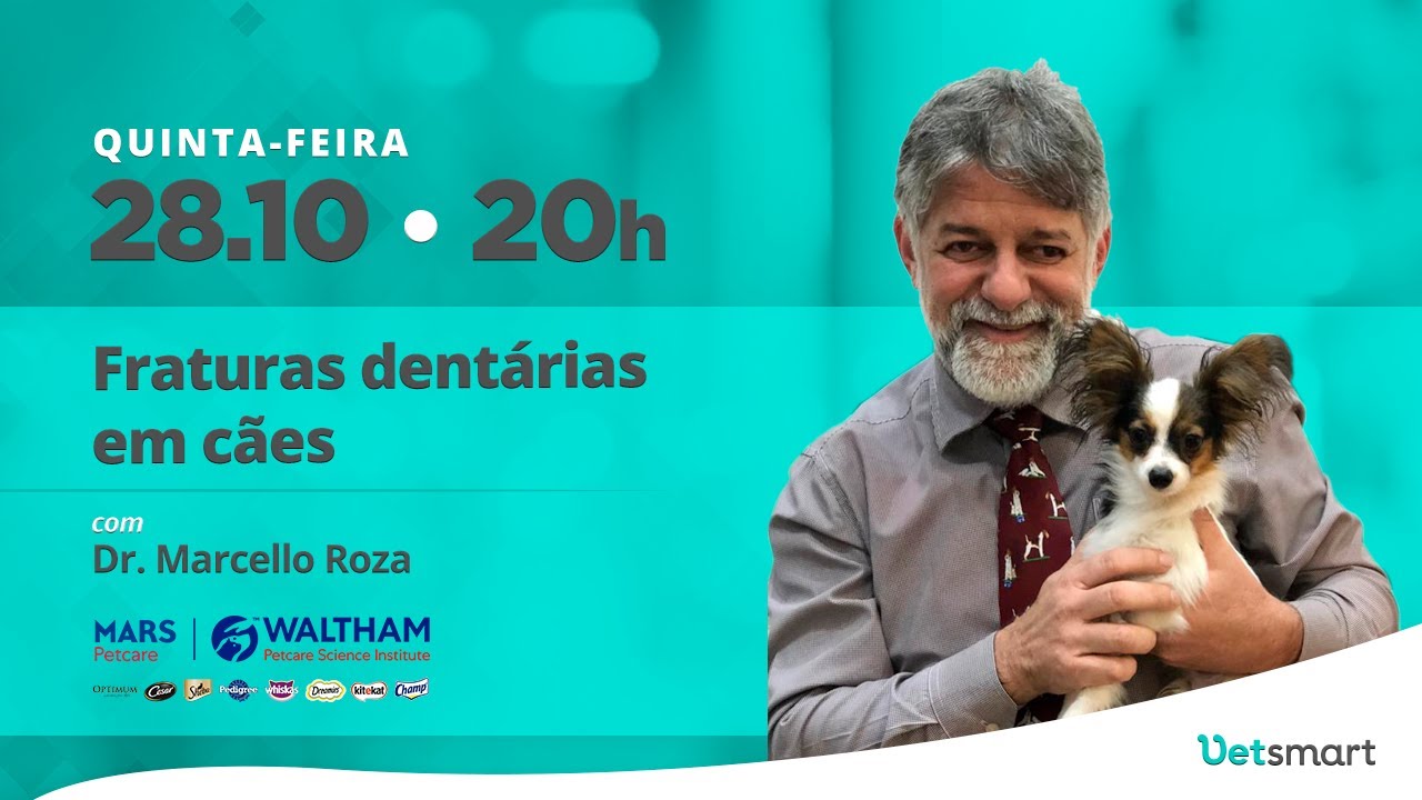 Fraturas dentárias em cães