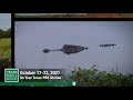PBS Preview Shrimping Brazos Bend Big Eared Bats 3002