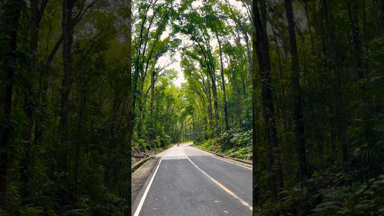 YouTube Short thumbnail