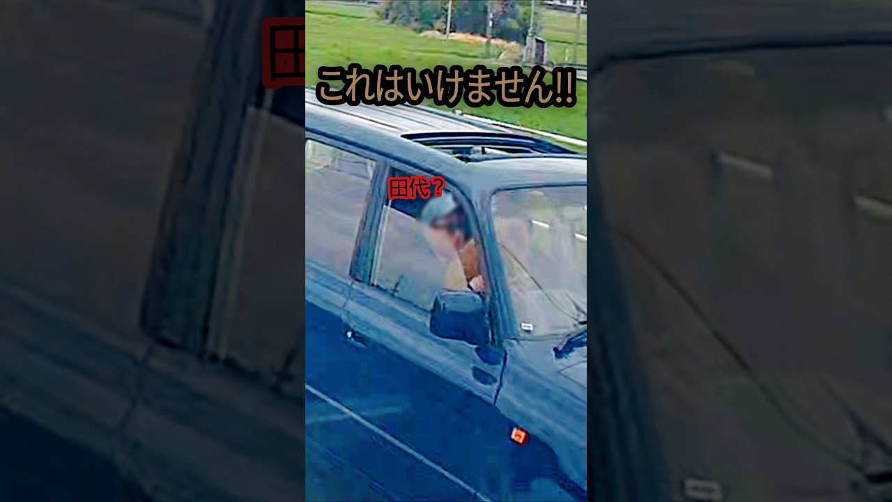 [激撮ドラレコ24時#524]#イヌにタコ